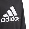 Adidas Boys Essentials Big Logo Sweatshirt