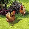Садовые колышки в виде курицы, акриловые таблички для двора, уличная скульптура, статуэтка, украшения для горшечных растений, садовый вкладыш, декор для двора, лужайки