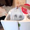 Mesh Laundry Bag with Strap and Zipper - Sneaker Dryer Bag, 16.3 x 15.9 Inch