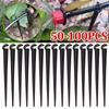 50-100PCS Durable 1/4'' C-type Hook Fixed Stem Support Holder Stakes for 4/7mm Hose Flowerpot Drip Irrigation Fitting Greenhouse