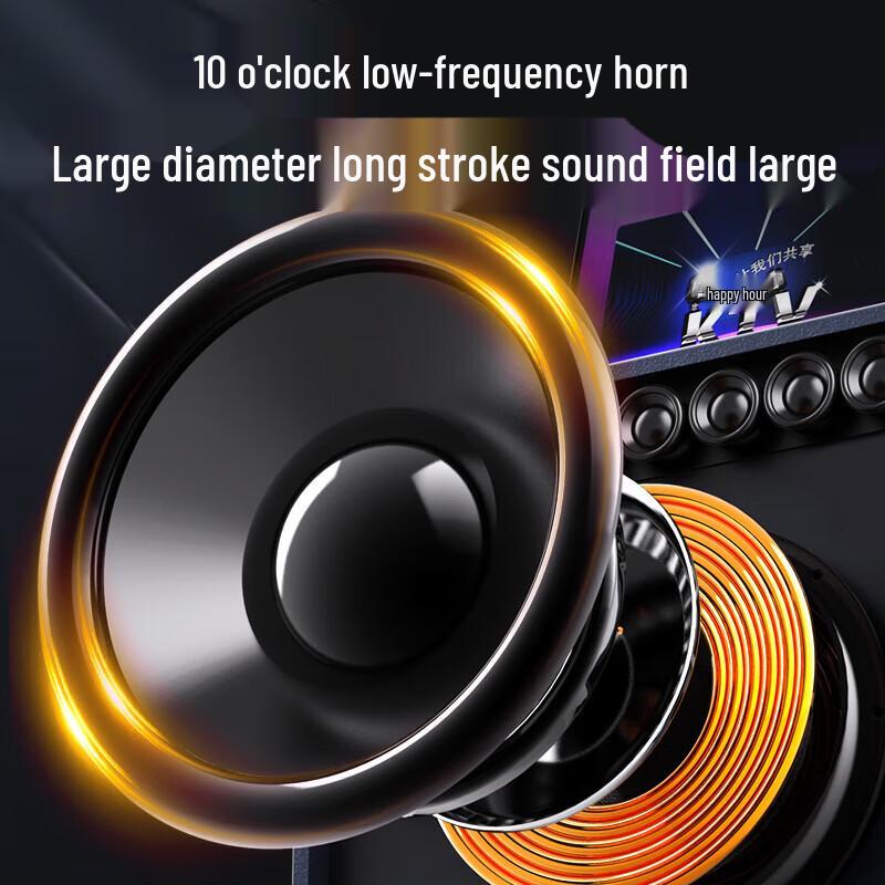 Sansui Singer Q109P Portable KTV Speaker