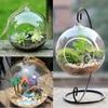 Vase Holder Hanging Glass Holder Crystal Terrarium Container Without Glass Ball Vase Pot Iron Stand Holder Decoration Home Decor