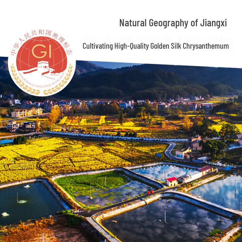 Juzhiyun Premium Chrysanthemum Flower Tea