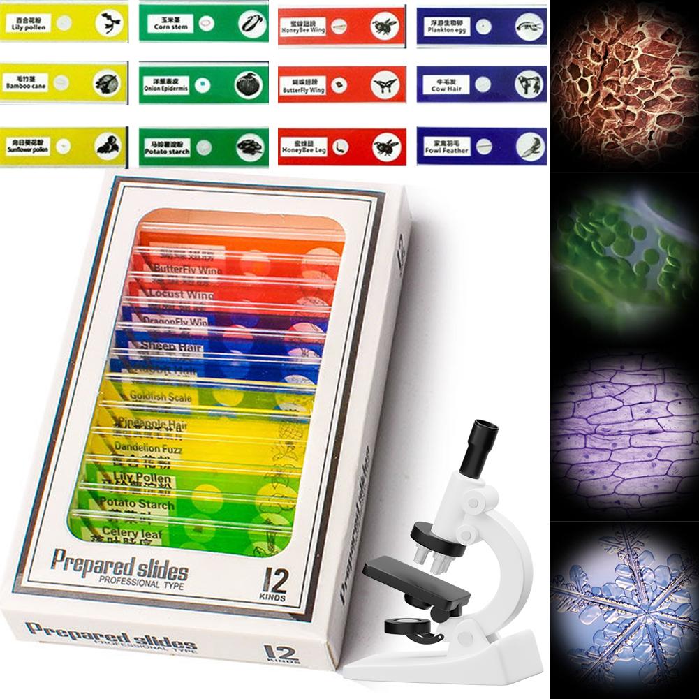 1000x Детский микроскоп Лаборатория Цифровые микроскопы 2-дюймовый IPS-экран Электронный увеличитель Камера с 8 светодиодами Функция фото-видео