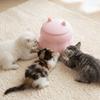 Bionic Nipple Pet Nursing Bottle Silicone Pet Milk Feeder Kitten Nipple Feeder  Pet Feeding
