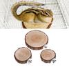 New Pet Parrot Bird Cage Perch Perches Platform Round Wooden Stand Board For Chinchilla Squirrel Birds Resk Toy 8/10/14cm