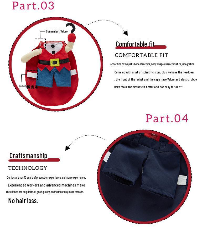 Funny Dog Halloween Costumes: Teddy Schnauzer Thor Transformation Outfit