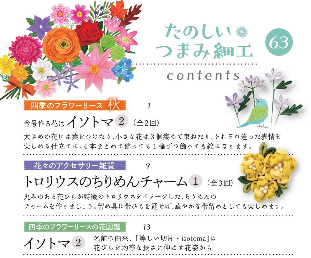 Веселый Цумами Зайку 63 Нет. [Энциклопедия] (с комплектом)