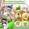 12 шт. шариков-отпугивателей кошек, долговечные ароматические шарики с маслом перечной мяты, отпугивающие шарики для собак, не пускают кошек в сад, для комнатных растений, уличной мебели