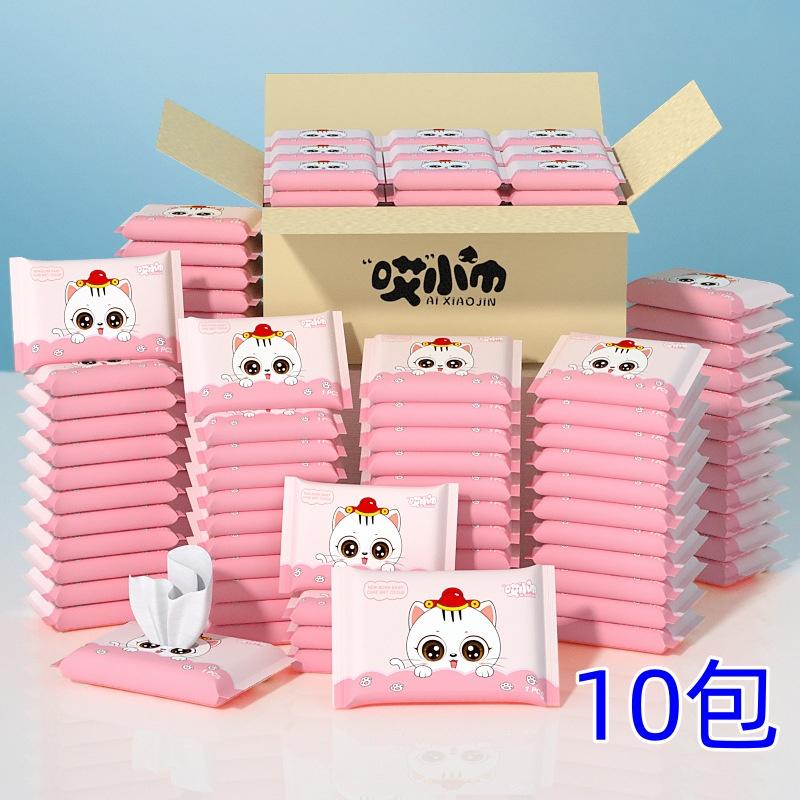 10 Pack Disposable Cleaning Wipes for Infants, Children, Travel, Hotels, Restaurants, and Homes