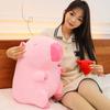 Simulation Pink Watermelon Capibara Plush Doll Cloth Doll Capibara Anime Fluffty Toy  Home Decor