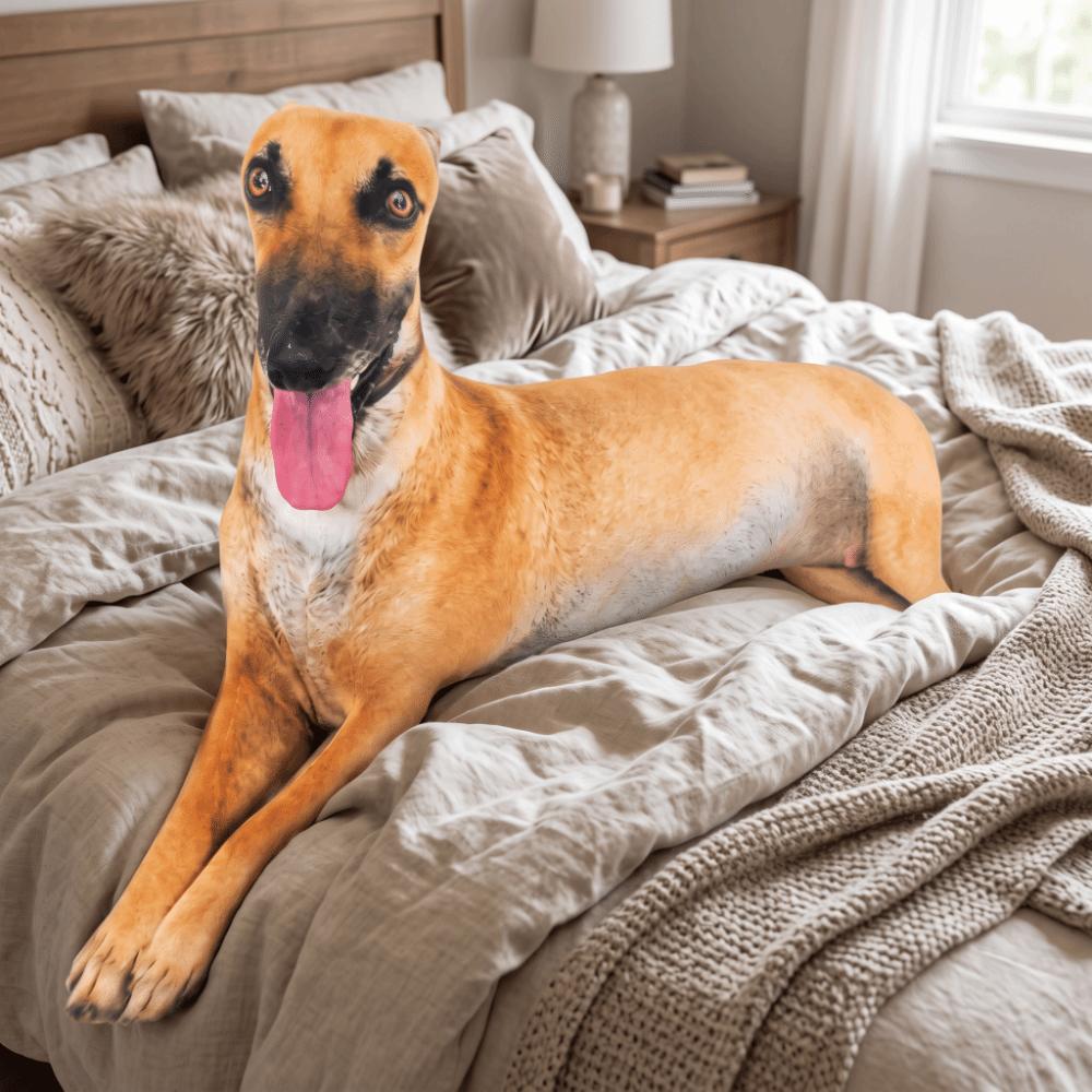 Lifelike Plush Pillow Realistic Greyhound Stuffed Animal Simulated Greyhound Pillow Collectible