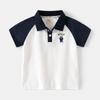 Summer Children's Clothing Boys' Collared Short-Sleeve T-Shirt Boys' Raglan Sleeve Polo Shirt Children's Half-Sleeve Bear Top Thin Style