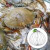Saltwater Fishing Crab Trap Stainless Steel Cage Adjustable Crab Trap Cage With Auto Deploying Fishing Gear Accessory