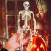 DIY Party Decoration Hanging Halloween Scary Props Human Skeleton Poseable Size