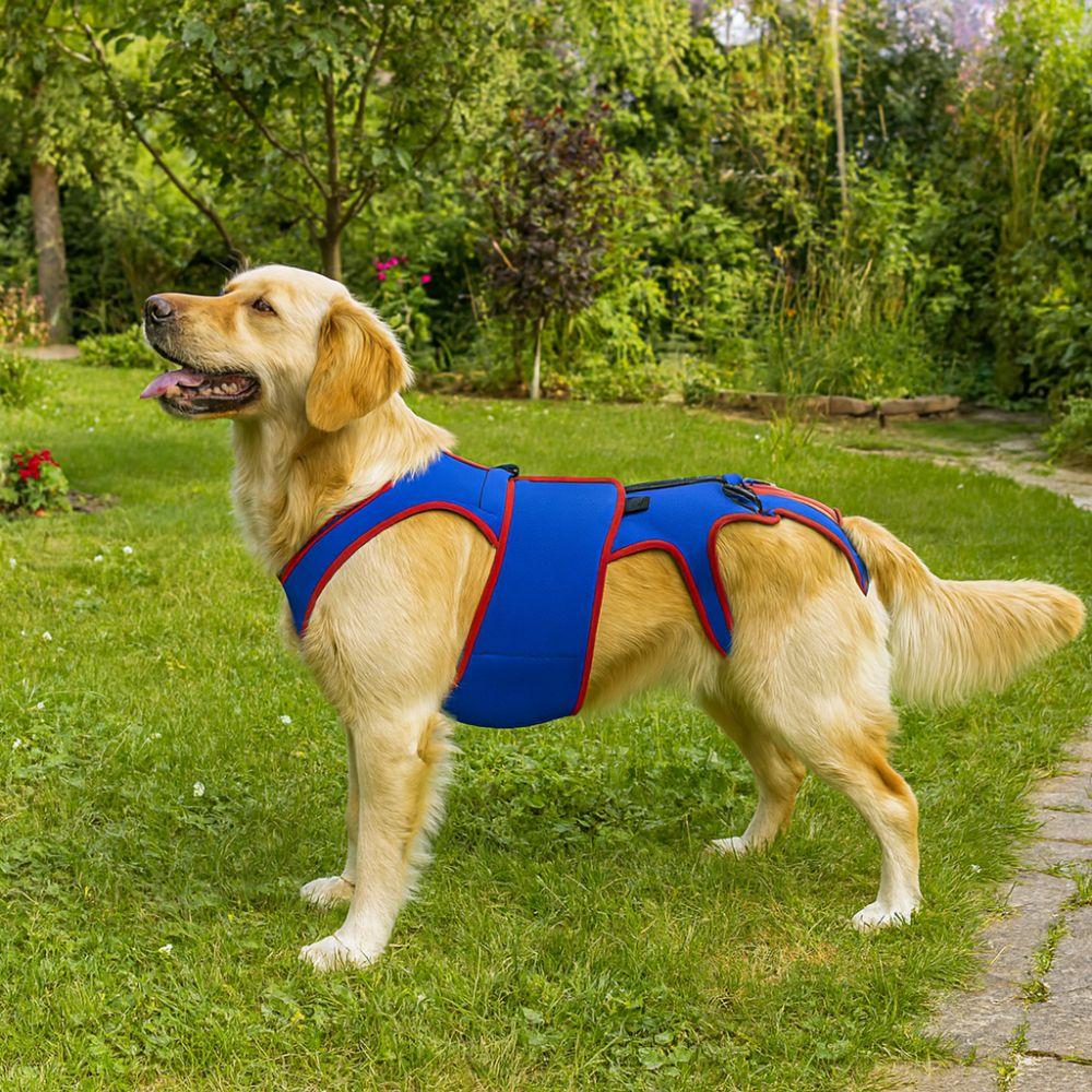 Breathable Dog Soothing Clothes Thickened Pet Support Harness Pet Spine Leash Outdoor