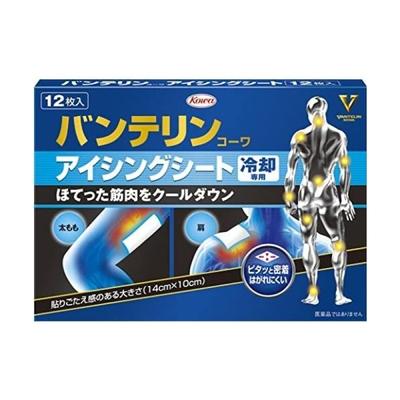 12 листов для глазури и носа Vantelin