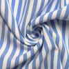 Skirt With Fungus SummerEuropean And American Women Wear Vertical Striped Shirt Dresses