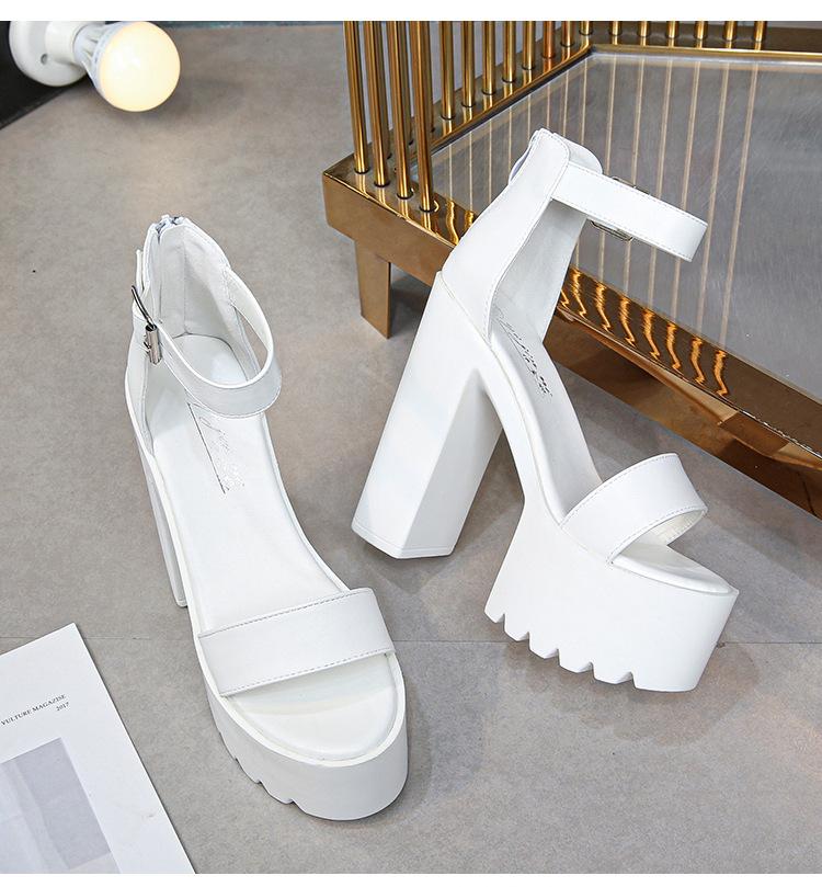 Women Summer Sandals 14CM High Heel Roman Gladiator Sandals Platform Thin Strap Simple Sandals