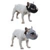 Dog Muzzle for Short Snout Dogs Breathable Holes Biting Chewing