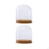 2 Glass Cloche Dome Cover Landscape Terrarium Container with Base S