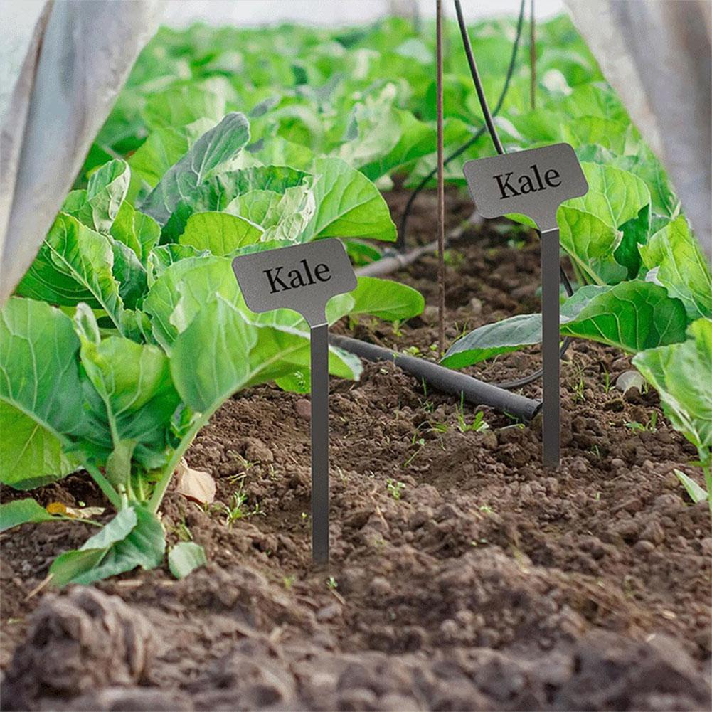 10 шт. Металлические бирки для растений, погодоустойчивые колышки для сада, маркеры для посадки, садоводства для овощей, цветов, семян, теплицы