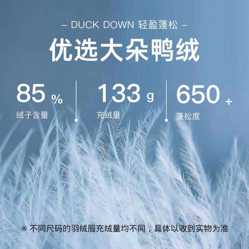 [Big Duck Down] 2025 Winter Men's Stand up Down Jacket 8026