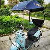 Electric Vehicle Rain Canopy