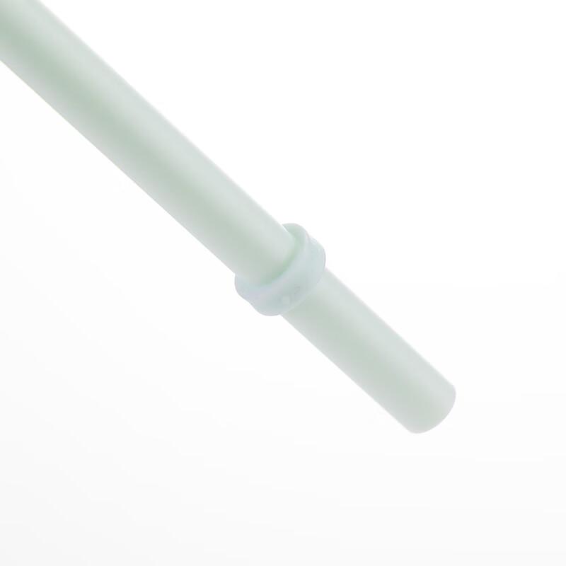 Starbucks Mint Green Stainless Steel Straw Tumbler