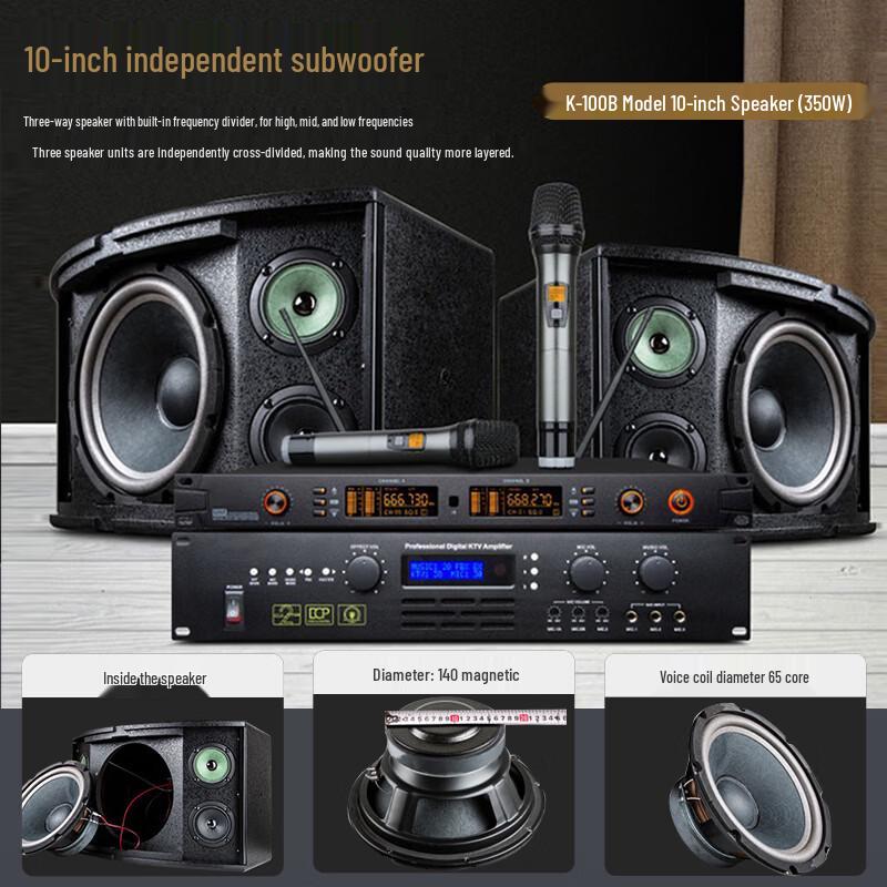 Veshu K-100 10-inch Conference & Karaoke Speaker System (CN version)