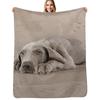 Weimaraner Puppy Throw Blanket Soft Cozy Blanket for Pet Kids Adults