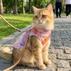 Cooling Pet T-Shirt Thin Breathable Sun Protection Clothes Dog Sunscreen Clothes  Outdoor Activity
