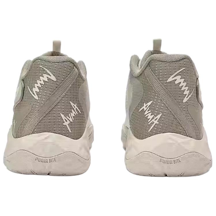 Puma Мужские баскетбольные кроссовки Dagger 2 Mid Alpine Snow/Ice Coffee 312748-07