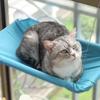 Pet Nest Creative Cat Hanging Bed Stable Rectangular Suction Cup Cat Nest No-punching Household Pet Window Perch Balcony