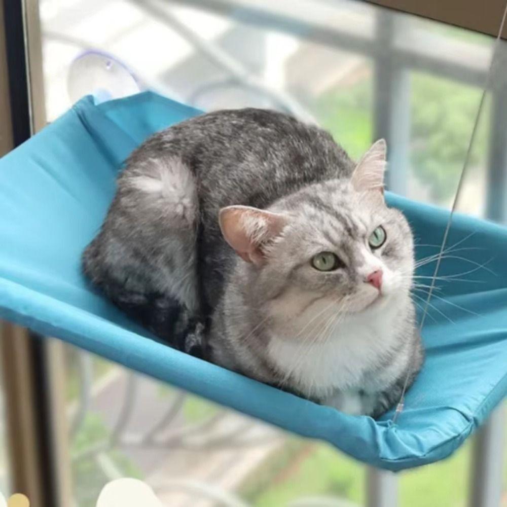 Pet Nest Creative Cat Hanging Bed Stable Rectangular Suction Cup Cat Nest No-punching Household Pet Window Perch Balcony