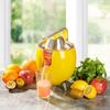 KitchenCook Электрическая соковыжималка 550 мл - 2 насадки для отжима - Шарнирный рычаг - Носик для наливания - Фильтр из нержавеющей стали