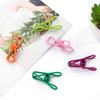 10 Pcs Clothes Hanger Clips Stainless Elastic Heavy Duty Anti-slip Stable Windproof Socks Underpants Scarf Holding Clips Food Package Chips Bag