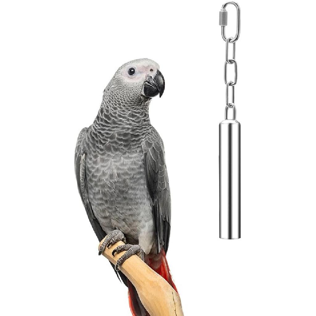 Stainless Steel Bell Toy Bird Cage Hanging Bite Toy for Parrot Parakeet Budgie Cockatiel Conure African Greys (2 PCS-L)