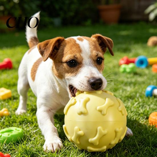 Interactive Dog Toy Squeaky Ball Raised Texture Chew Bite-Resistant TPR Puppy Teething for Dogs Teeth Cleaning Boredom Relief Bite-resistant