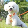 Cute Fruit Dog Cat Harness & Leash Set Adjustable Soft Puppy Kitten Walking Gear Breathable Summer Outdoor Accessories