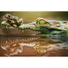 5D DIY Алмазная картина Крокодил Лягушка Алмазная вышивка Крестом Горный хрусталь Мозаика Домашний декор