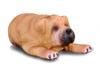 COLLECTA Male Shar Pei 88194 Puppy 5cm