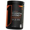 Essential Amino Acids with Electrolytes, Essential Amino 9, Rule 1 345g (27408002)