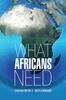 Книга What Africans Need by Chukwuemeka E. Onyejinduaka - Paperback