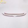 Sagitar Hood and Front Bumper Grille Decorative Strip for 19 Models