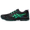 Кроссовки мужские Gel-Fujisetsu 3 GTX Black New Leaf 1011A972-002