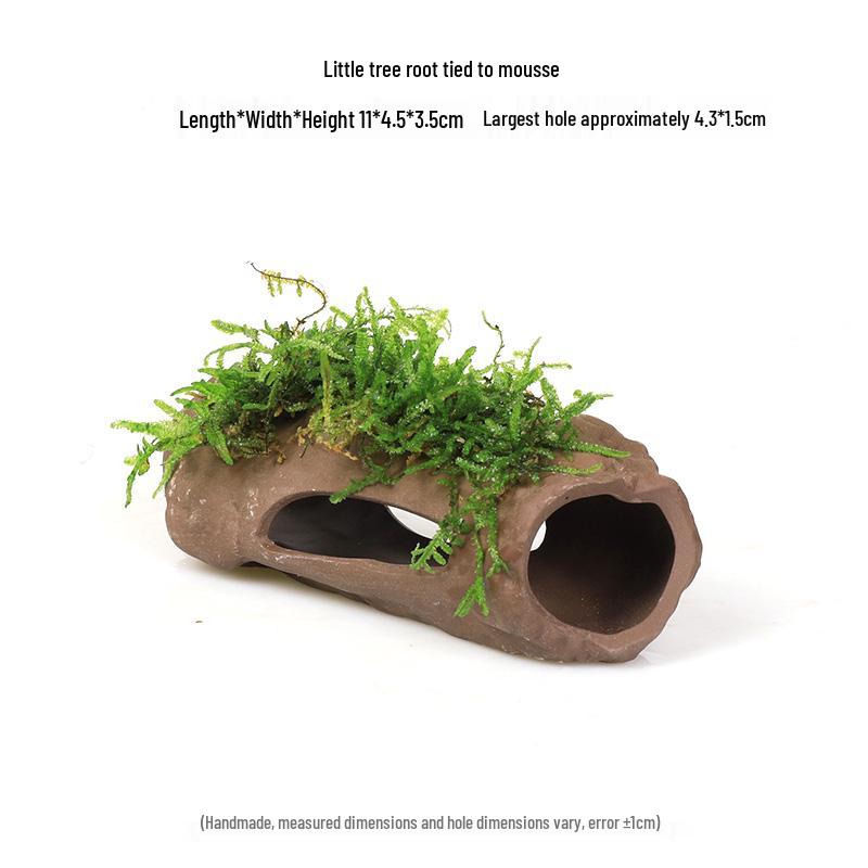 Aquatic Plant Moss Hideaway: Real Plant Jar for Fish & Shrimp