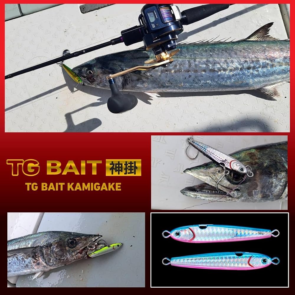 Daiwa TG Bait Kamikaze Tungsten Jig 80g PH Baby Sagochi Fishing Tackle