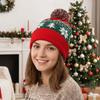 Snowflake Knitted Beanie Hat Jacquard Christmas Knitted Hat Vintage Christmas Hat  Women