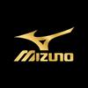 Усиленный носок и 10 см 3 Разных размера [Mizuno] Мужские носки с пятью пальцами, Прочные, Спортивные, Пятка, Школа, Длина, Пары, 989-401 F, 24,0 см~26,0 см